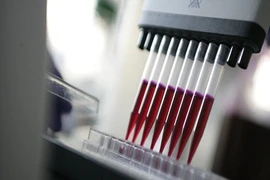 Vai trò của bộ máy kháng thể trong bệnh bạch cầu