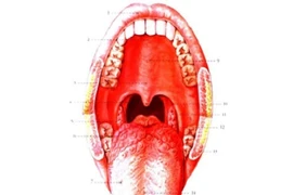 8 phương pháp chẩn đoán ung thư mũi họng