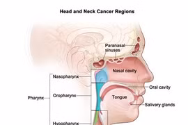 Phát hiện thuốc mới giúp điều trị ung thư đầu và cổ