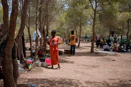 Cảnh ngộ dân tị nạn bị mắc kẹt ở Morocco