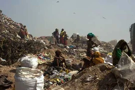 Rủi ro nghề bới rác kiếm kế sinh nhai ở New Delhi