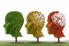 Điều gì xảy ra khi cơ thể thiếu ánh nắng mặt trời?