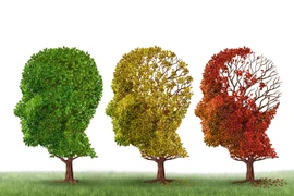 Điều gì xảy ra khi cơ thể thiếu ánh nắng mặt trời?