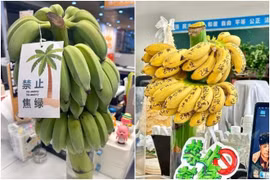 Chàng trai ở Trung Quốc bán chuối xanh kiếm 7 tỷ mỗi tháng