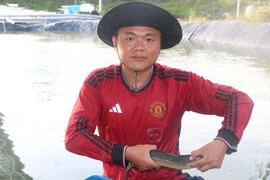 Cử nhân dược bỏ việc về quê nuôi ‘nhân sâm nước’