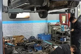 Bỏ việc lương cao về quê sống chung với phế liệu