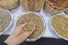 Điều gì khiến giá cà phê xô đổ mọi kỷ lục?