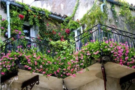 Những sai lầm làm ban công vừa xấu vừa rước họa vào thân