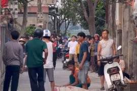 Quảng Bình: Trâu điên tấn công làm 3 người thương vong