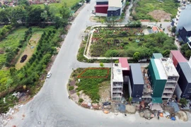 Dự báo có thêm nhiều kỷ lục về đất đấu giá tại Hà Nội