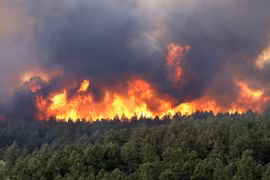 Rừng bạch đàn ở Quảng Bình bốc cháy dữ dội