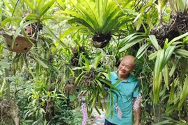 Nông dân Bắc Kạn thoát nghèo nhờ trồng lan rừng, nuôi gà đặc sản