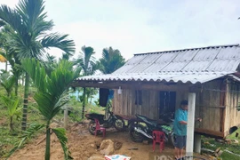 Người dân Quảng Ngãi căng mình chống “cau tặc”