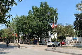 Tập đoàn Thiên Minh Đức bị cưỡng chế hơn 400 triệu đồng tiền thuế