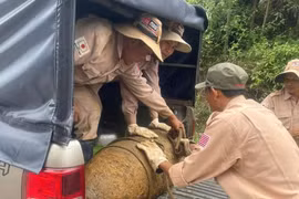 Phát hiện bom “khủng” còn nguyên kíp nổ ở Quảng Bình