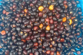 Khách hàng “mỏi mắt” tìm mua hạt mề gà