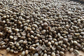 Tivi giảm giá sập sàn, máy giặt chỉ từ hơn 2 triệu đồng/chiếc