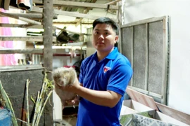 Nông dân Trà Vinh thành công với mô hình heo rừng