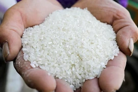 “Hạt ngọc” Việt Nam có giá đắt nhất thế giới