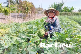 Chuyển đổi mô hình đa cây, đa con cho hiệu quả kinh tế cao