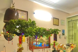 Vườn bonsai ngược phủ xanh căn nhà cựu cán bộ ngân hàng