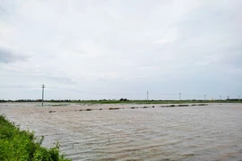 Ngành nông nghiệp thiệt hại nặng nề do bão số 3