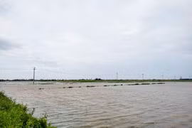 Ngành nông nghiệp thiệt hại nặng nề do bão số 3