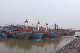 Quảng Bình cấm biển, kêu gọi tàu thuyền neo đậu tránh bão