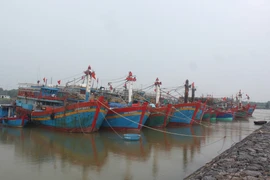 Quảng Bình cấm biển, kêu gọi tàu thuyền neo đậu tránh bão