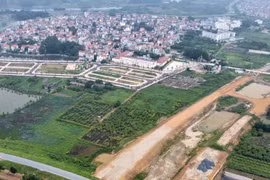 Khu đất đấu giá Hoài Đức có gì mà giá lên 133 triệu/m2?