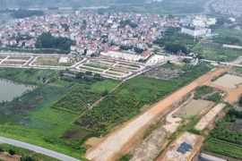 Khu đất đấu giá Hoài Đức có gì mà giá lên 133 triệu/m2?