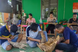 Kỹ sư về quê tìm 'vàng' trong thân cây, thu nửa tỷ mỗi tháng