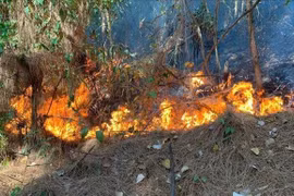 Hàng trăm người chiến đấu với “giặc lửa” để cứu rừng ở Quảng Bình