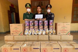 Bắt giữ đối tượng vận chuyển hơn 500kg pháo lậu qua biên giới