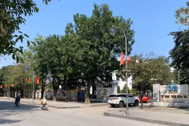 Thiên Minh Đức bị cưỡng chế thuế: Hệ sinh thái khủng… kinh doanh “èo uột”