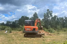 Quảng Bình: Lợn chết vứt đầy đồng, môi trường bị ô nhiễm nghiêm trọng