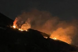 Cháy rừng trong đêm ở Hà Tĩnh, 300 người tham gia dập lửa