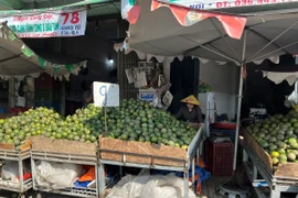 Cam sành rớt giá thê thảm ở TPHCM, chỉ còn 5.000 đồng/kg ​