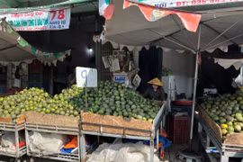 Cam sành rớt giá thê thảm ở TPHCM, chỉ còn 5.000 đồng/kg ​