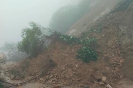 Sạt lở gây tắc nghẽn đường lên Cửa khẩu quốc tế Cầu Treo