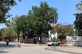 Tập đoàn Thiên Minh Đức nợ thuế và các khoản thu khác đến 1.000 tỷ đồng 