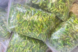 ‘Tóp mỡ xanh’ 800 nghìn/kg vẫn đắt hàng