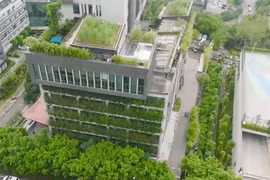 Tòa nhà tự làm mát giữa cái nóng như lò nung ở Trung Quốc