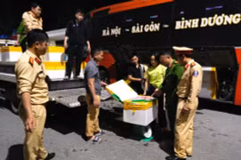 Hơn 2 tấn chim cút “thối” chở từ Đồng Nai ra Hà Nội 