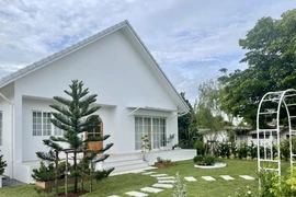 Chi 1,2 tỷ đồng xây nhà giữa vườn xoài ngập nắng