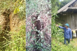 Núi nứt dài hơn hàng chục mét, Quảng Bình di dời nhiều hộ dân