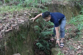 Ban bố tình huống khẩn cấp thiên tai sạt lở đất ở Quảng Bình