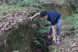 Ban bố tình huống khẩn cấp thiên tai sạt lở đất ở Quảng Bình