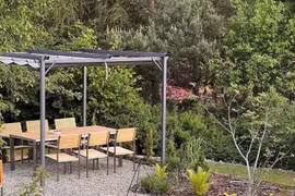 Tái chế gốc cây trong không gian sống