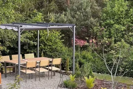 Tái chế gốc cây trong không gian sống